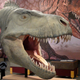 Illustration for article titled The truth about T. rex